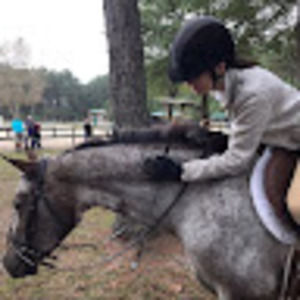 Meet your Posher, Sadie